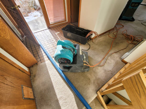 Best Water damage cleanup near me  in Travilah, MD