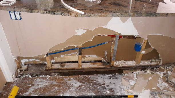 Best Ceiling water damage repair  in Travilah, MD