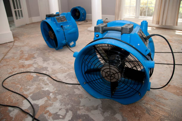 Best Water damage contractors near me  in Travilah, MD