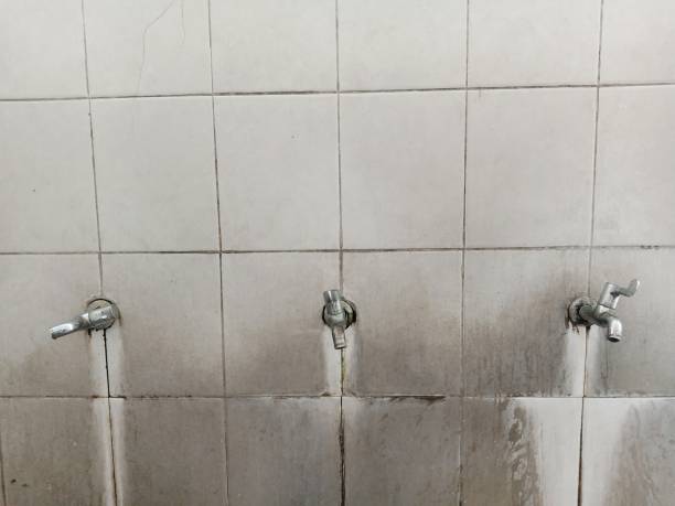 Best Water damage restoration near me  in Travilah, MD
