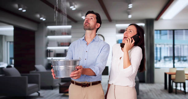 Best Flood damage cleanup  in Travilah, MD